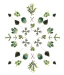 BOTANICAL White에 있는 Aglaia님의 핀 | 아이디어, 플로리스트