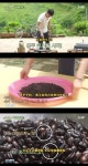 三时三餐 山村篇 삼시세끼 산촌편 剧照 | Doctor, Subjects, People