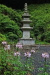 1954b276b245f199ca08ae5d34f699b8.jpg : 사찰의 탑 과 꽃 | 탑, 꽃, 갤러리