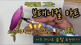 보태니컬아트 색연필 / 샤프 하나로 식물의 솜털 표현하기 / 소소하지만 꽤 괜찮은 팁2탄 - 2023 | 그림, 색연필, 꽃그림