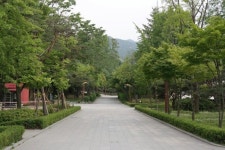 낙성대 공원. 소실점 시리즈 | 소실점, 공원