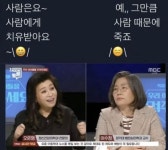사람은 고쳐 쓸 수 있다 vs 없다.‥ - 2023 | 웃긴 밈, 웃긴, 웃긴 유머