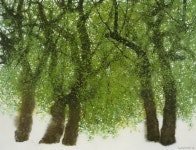 이일남님이 풍경에 올린 꽃