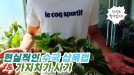 Pin by 명순 홍 on 농사 in 2021