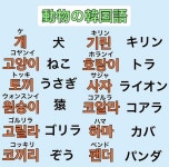 「한국어」おしゃれまとめの人気アイデア｜Pinterest｜Jinnie Kay | 韓国語 勉強, 韓国語 勉強 ノート, 韓国語の学習