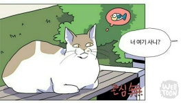 참치와 돌고래에 있는 Heydole님의 핀 | 돌고래