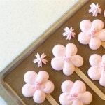 388 Likes, 4 Comments - 디저트카페/베이킹클래스_모니크아뜰리에 (@monique_kdh) on Instagram: “봄꽃머랭쿠키🌺 . #분당 #야탑... 