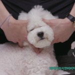 세훈에 있는 -伯님의 핀