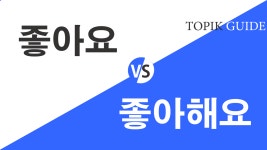 Difference Between 좋아요 and 좋아해요 | Allianz logo, Being used, Hangeul