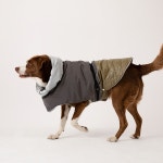 반려동물을 위한 예쁜 강아지용품 라이프스타일 디자인브랜드 | 퍼피갤러리 - 2023 | 강아지 용품, 중형견, 강아지 옷