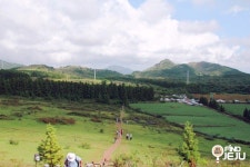 효리네민박 백약이오름 요즘 핫플 제주오름 명소 : 네이버 블로그 | 여행