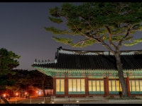 2016 창경궁 야간기행 | 여행 행사 풍경 사진 갤러리 | 루리웹 모바일 | 풍경 사진, 사진, 여행