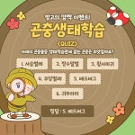 곤충 생태학습 퀴즈 SNS 템플릿 | 템플릿, 퀴즈, 배너