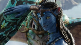 Post Your HD Pictures Of Neytiri! - Page 202 - Tree of Souls - An Avatar Community Forum | 아바타