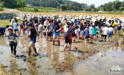 농촌여행, 순천생태체험마을로 더욱 재밌고 뜻깊게! : 네이버 블로그 | 블로그