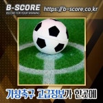 뉴욕닉스VS클리블C #성수농협창고 #PSG로리앙 #마르세유메스 #네시 #근무자 #밍크컬러 #소마셈K2 #월곡동유기견 #… | 브레멘, 리버풀, 멤피스
