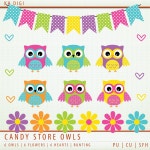 Owl Clip Art - 6 owls 6 hearts 6 flowers Bunting Candy Store Collection ClipArt Scrapbooking Instant Download & Printable G7317... 