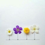 Imagem por 김호정 em 인테리어 | Trabalhos manuais, Ideias criativas, Planos de fundo