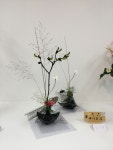 Pin by 수성 최 on Ikebana, ikenobo | Ikebana, Flower arrangements, Arrangement