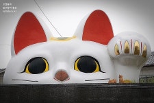 고경원의 길고양이 통신 :: 마네키네코 도리에서 숨은 고양이 찾기 | 고양이, 한국