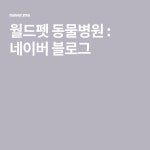 월드펫 동물병원 : 네이버 블로그 - 2020 | 블로그