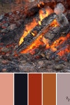 Pin by 하늘고운바람 하 on 색감 | Fall color schemes, Color schemes colour palettes, Color balance