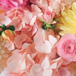 1,070 Likes, 48 Comments - A Petal Unfolds (@apetalunfolds) on Instagram: “Pink and yellow- one of my favourite colour... 