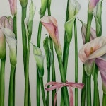 Check the link in bio . .… | Dibujo lapiz color, Lapices de... Check the link in bio . .… | Dibujo lapiz color, Lapices de... 