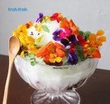 Flower Bingsu(Korean Dessert):Edible flowers 꽃빙수 만들기:식용꽃. | 식용 꽃