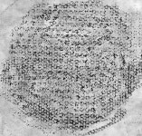 t117_A_texture_신지선_07