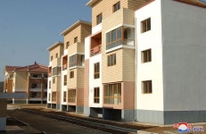 평양시 은정구역 배산남새농장에서 새집들이 진행 | Rural area, Vegetable farming, Rural