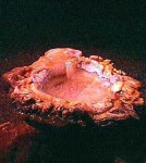 지하명승 룡문대굴 in 2020 | Celestial, Outdoor, Nebula