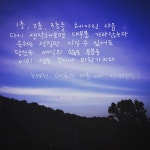 좋은 글귀 캘리그라피 (대구캘리, miho) | 명언, 좋은 글귀, 멋진 말