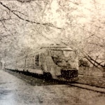 군항제ㆍ경화역