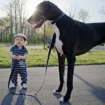Look Ma, Im Walking the Dog!  Whos walking who here?  [image via Brett Manippo] | 고양이 사진, 개, 강아지