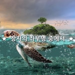 ★  장자의 좌우명 중에서  ★  座中談笑 愼桑龜  좌중담소 신상구    앉아서 서로 웃고 담소를 할 때는  뽕나무와 거북이를 삼가(조심)하라!... 