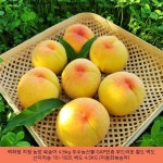 5KG (이종화복숭아) ─ #복숭아4.5kg가격 | 복숭아, 농장, 부드러운 34900원 ─ 백화점 지정 농장 복숭아 4.5kg 우수농산물 GAP인증... 