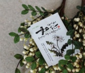 친환경무농약인증 하얀민들레농원 하얀민들레 차 | 차