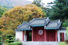 [경주 가볼만한 곳]은행나무가 아름다운 경주 용담정(동학 발상지) | 아름다운, 입구 문, 여행
