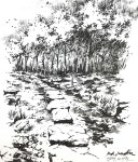 이미지: 식물, 나무, 실외, 자연 | 스케치, 어반 스케쳐스, 그림