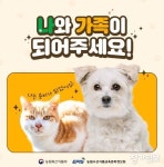 농림축산식품부, “유실·유기 동물에게 새로운 가족이 되어주세요” - 2023
