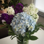 flower in my office | 플로리스트, 꽃꽂이