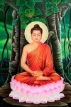 유여-buddhism~에 있는 지안 Roh님의 핀 | 불교