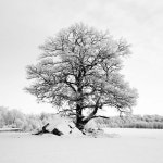 디자인자료에 있는 재승 이님의 핀