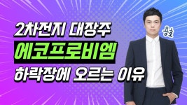 에코프로비엠 주가는 왜 하락장에 상승할까? - 2022