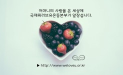 국제위러브유운동본부 : 네이버 이미지검색 | 영양, 식품 아이디어, 건강한 식단