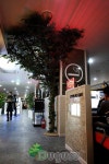 인조나무 , 인조느티나무 , 실내조경 , artificial trees , indoor landscape , planterior - 2020