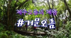 그래서 설명을 위해 주로 애용(?)하곤 했던 랜드마크가 무려  유네스코 세계자연유산으로 지정된 거문오름이다.  제주도에 분포하는 368개의…