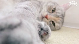 티티 (닿을것만 같아) tt❤