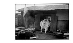 사진작가: 한영수. (With images) | Art, Painting